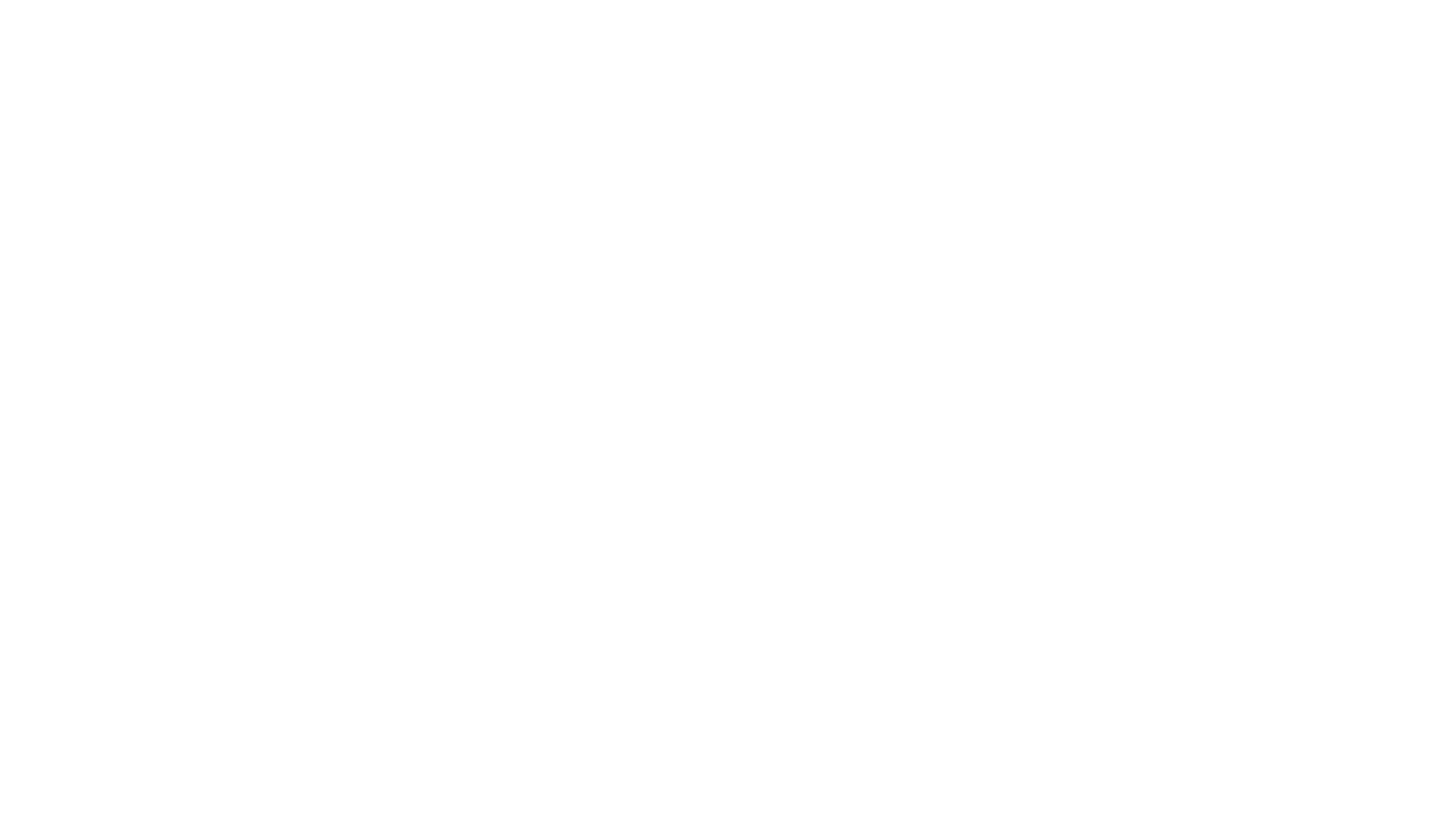DLX Timepieces